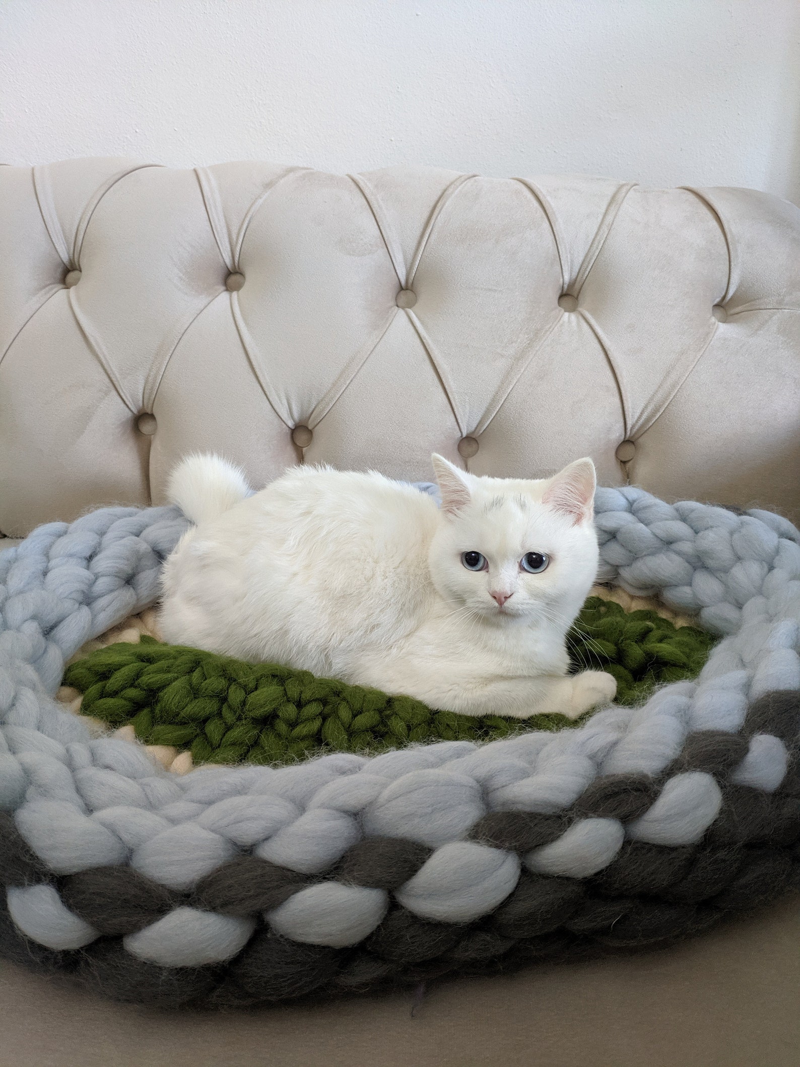 Giant Cat Bed Chunky Knit Cat Bed Size 65cm XXL Gift Cat Etsy