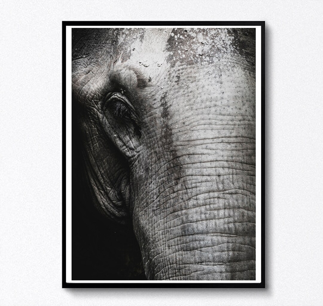 Elephant Print, Black and White, Printable Wall Art, Digital Download Art, Elephant Photo