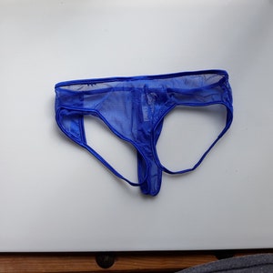 May include: A blue mesh thong underwear with a satin waistband and straps. The underwear has a low-rise design and a pouch in the front. The fabric appears to be semi-sheer.