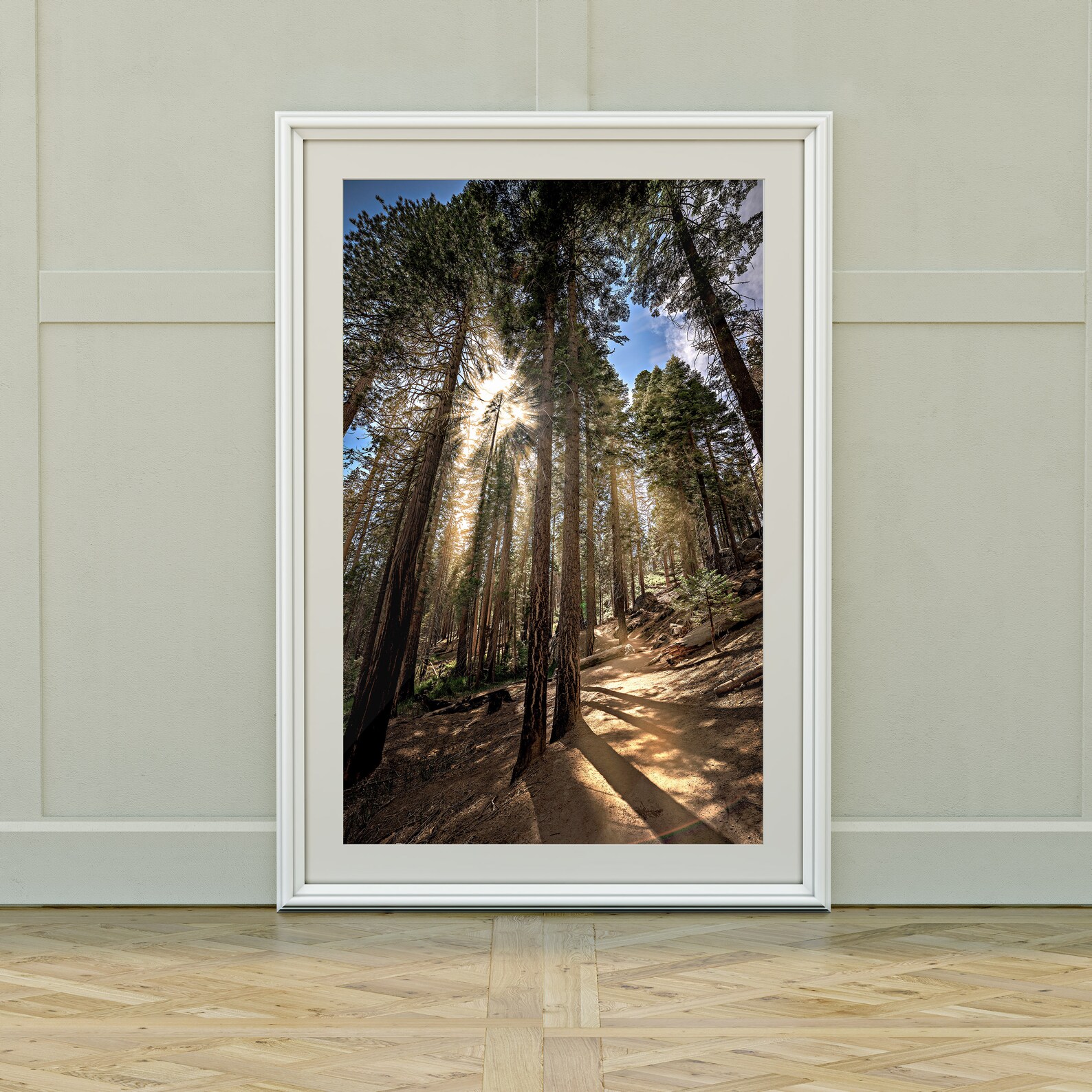 Sun Rays Sequoias Sun Rays in the Sequoia Woods Printable and Instant Download Digital ...