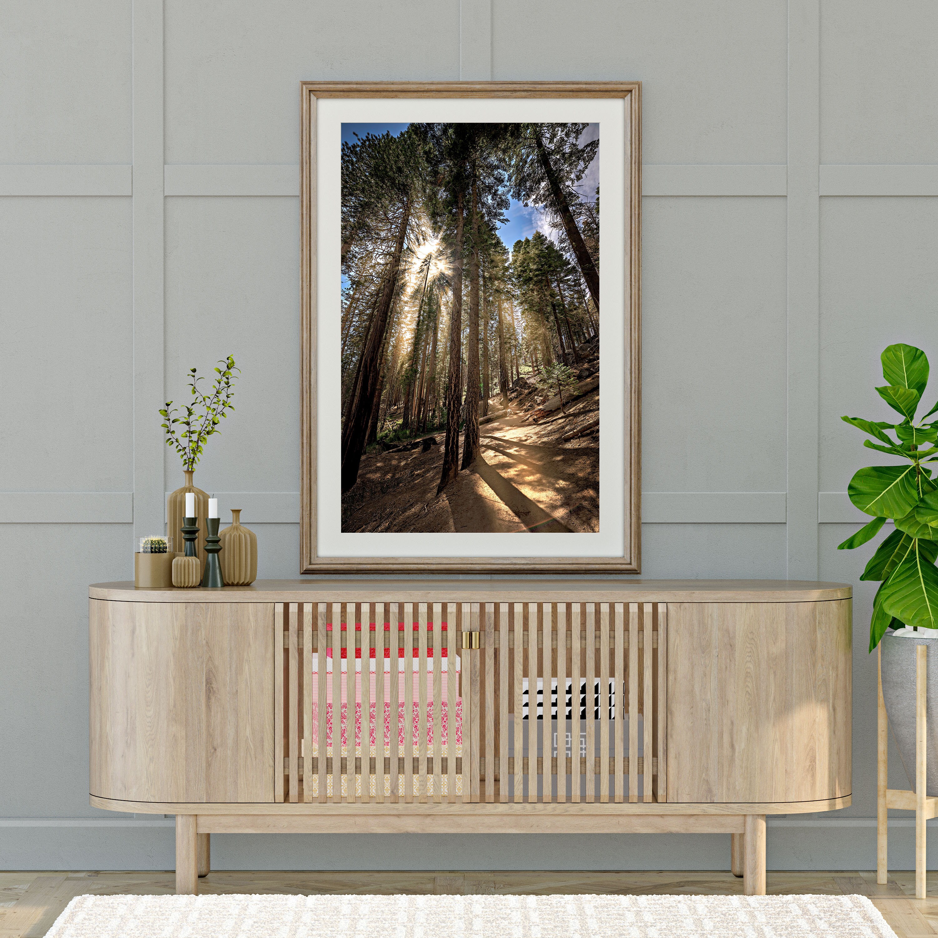 Sun Rays Sequoias Sun Rays in the Sequoia Woods Printable and Instant Download Digital ...