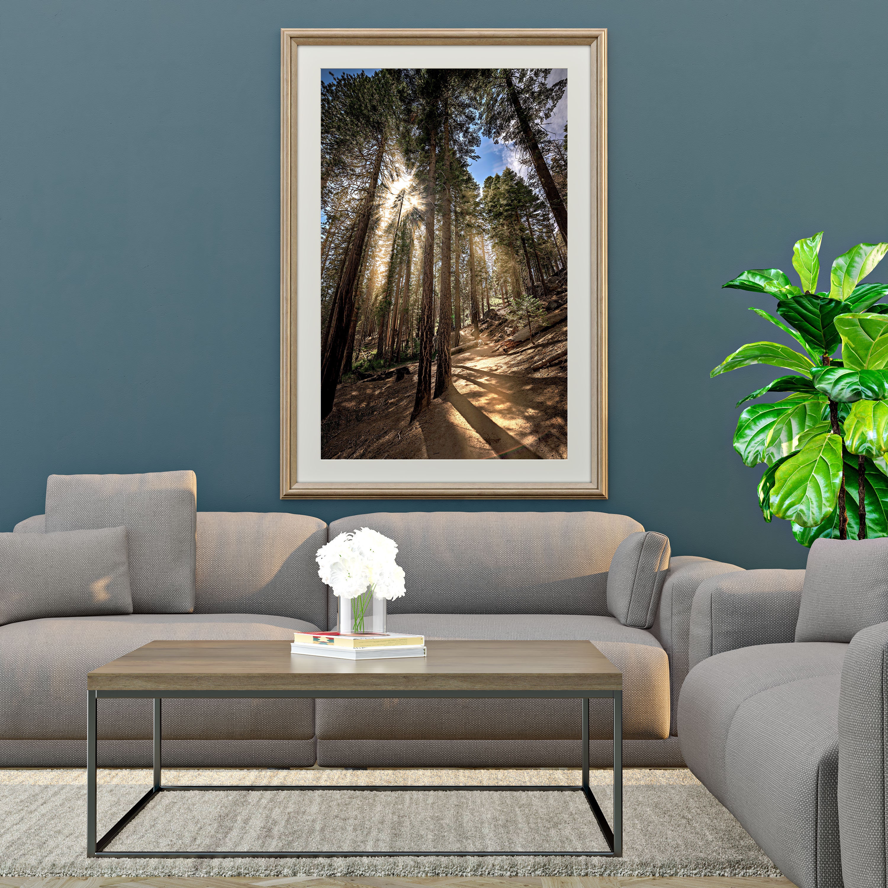 Sun Rays Sequoias Sun Rays in the Sequoia Woods Printable and Instant Download Digital ...