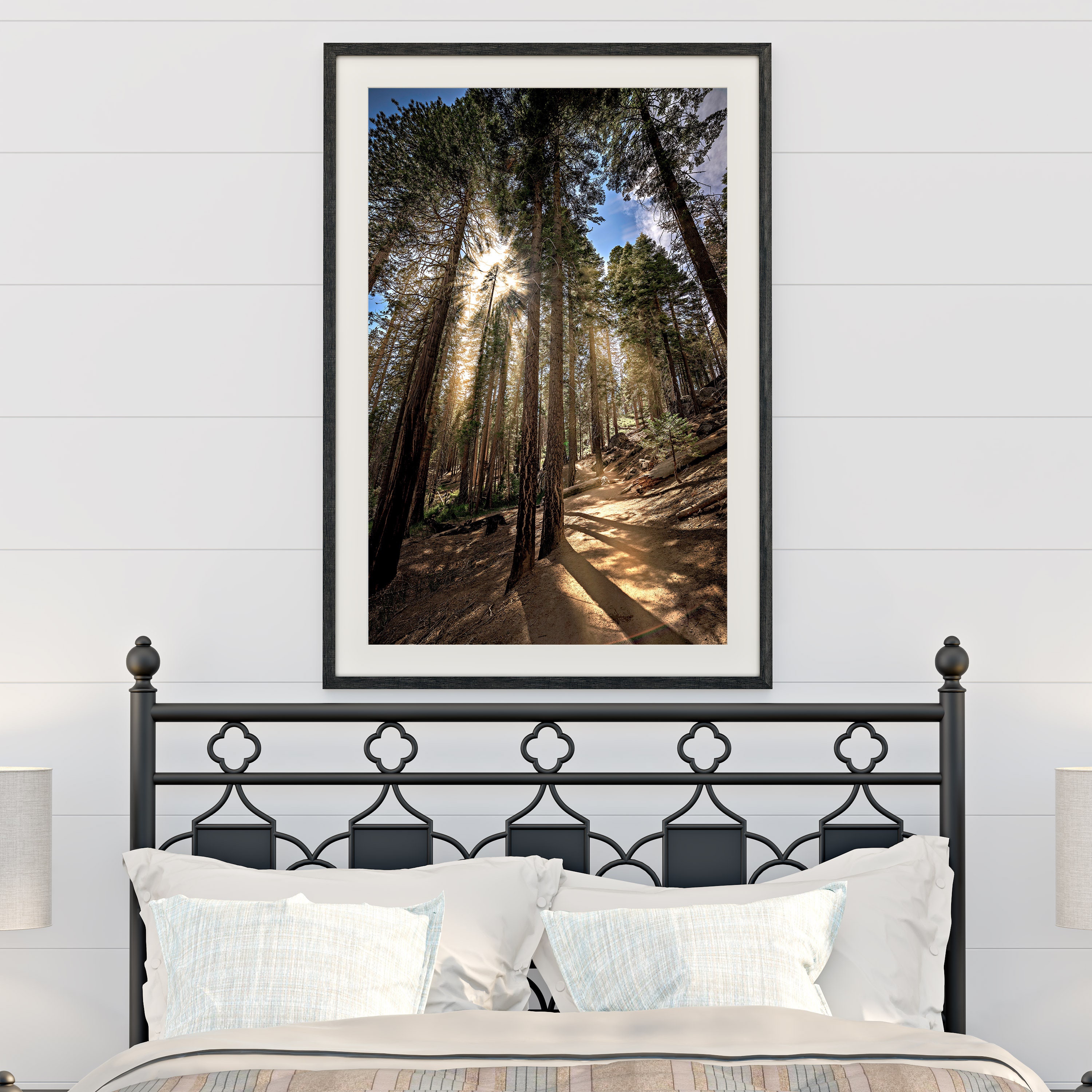 Sun Rays Sequoias Sun Rays in the Sequoia Woods Printable and Instant Download Digital ...