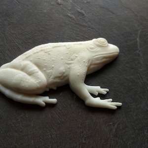 May include: A detailed, off-white frog figurine with textured skin. The frog is in a resting pose, with its legs and feet extended. The figurine is set against a dark, textured background, highlighting the frog's form.