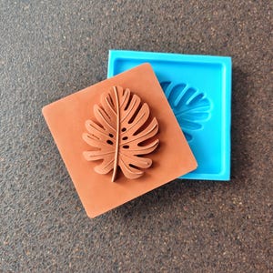 May include: Two silicone molds for crafting, one brown and one blue. Both molds feature a leaf design with a detailed vein pattern.