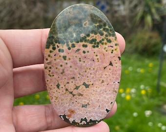 May include: An oval-shaped gemstone with a unique pattern. The top portion is a dark green, transitioning to a pinkish-beige with small, dark green spots. The stone is held in a hand, with a blurred green background.