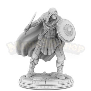 Boggor-Elfenkrieger PR044