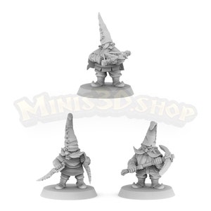 Gnome - HQ Dungeon by Minis3D