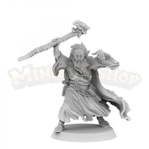 Mordecai Dark Mad Wizard CF240