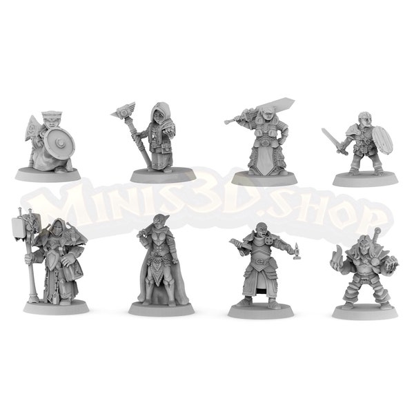 Heroes Custom: Paladin, Dwarf Female, Elf, Thief - HQ Dungeon by Minis3D