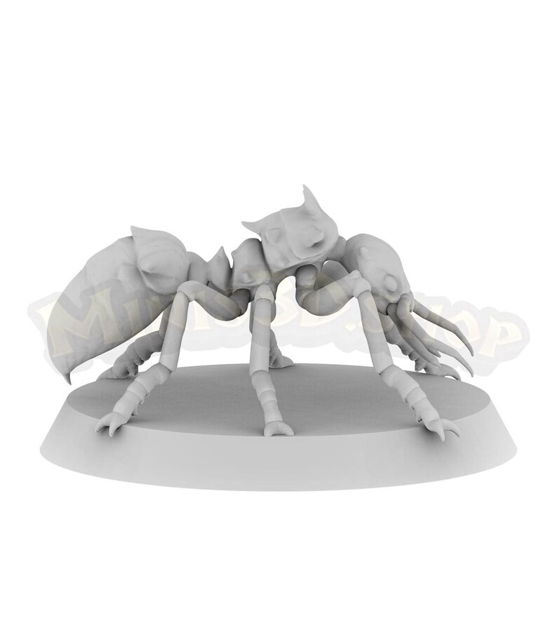 Giant Ant VA579 Etsy