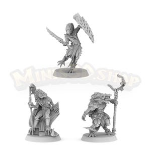 Draconian: Ranger, Wizard, Warrior - HQ Dungeon by Minis3D