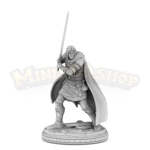 Ducard Mercenary Swordsman PR046