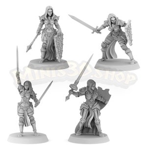 Ridder Vrouw - HQ Dungeon door Minis3D