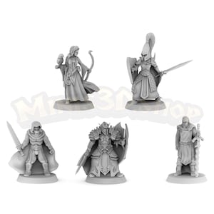Heroes Custom 2: Crussader, Ruffian, High Elf, Knight, Druid - HQ Dungeon by Minis3D
