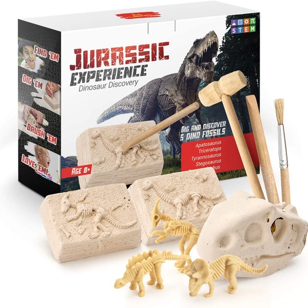 Dinosaur Fossil Digging Kit Educational Science Kits
