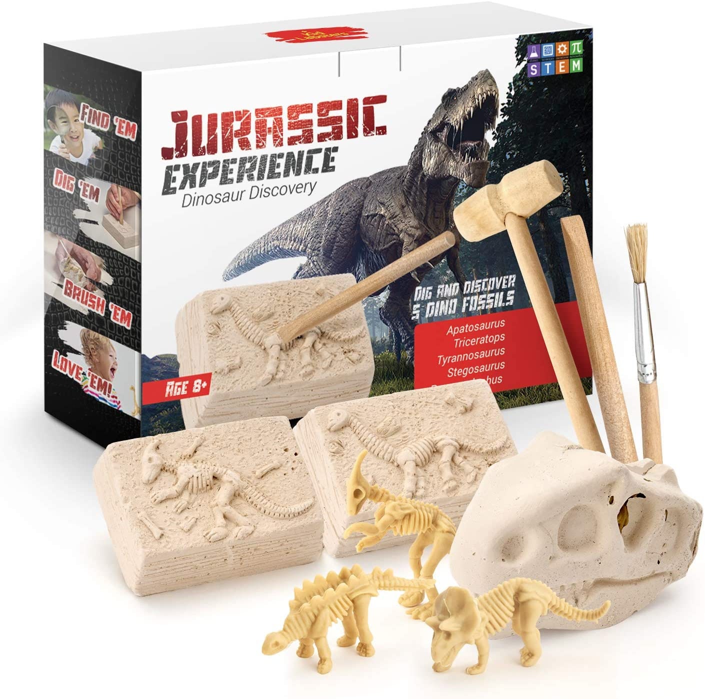 Dinosaur Fossil Digging Kit Educational Science Kits Etsy