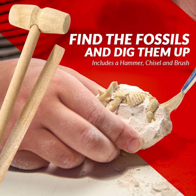Dinosaur Fossil Digging Kit Educational Science Kits Etsy