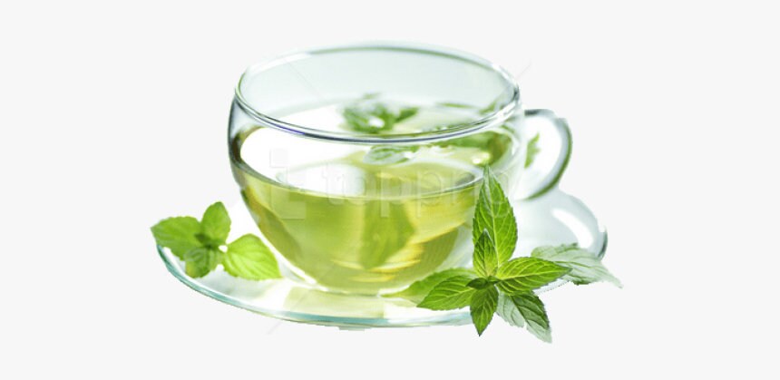 Le vert Et Blanc Du Thé