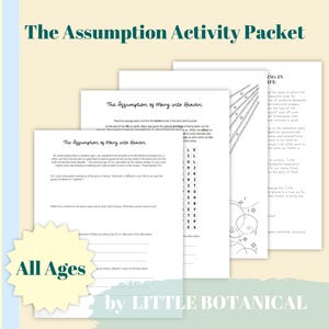 The Assumption of Mary Feast Day Activity Packet, TWO VERSIONS for Adults, teens, and children, Catholic homeschool religion worksheet set