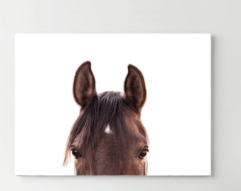 Horse Portrait Print,  Horse Photography, Horse Wall Art, Farm Animal Print, Farmhouse Wall Decor, Digital Printable, Instant Download