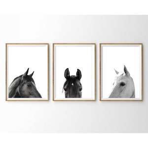 Set of 3 Black and White Horses Prints, Horses Portraits Wall Art Set,  Farm Animal Prints Set,  Farmhouse Wall Decor, Digital Download