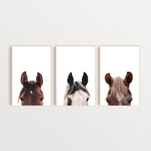 Set of 3 Horses Prints, Horses Portraits Wall Art Set,  Farm Animal Prints Set, Set of 3 Wall Art, Farmhouse Wall Decor, Digital Download