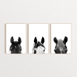 Set of 3 Black and White Horses Prints, Horses Portraits Wall Art Set,  Farm Animal Prints Set,  Farmhouse Wall Decor, Digital Download