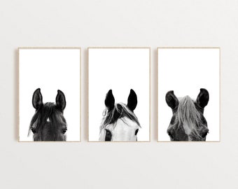 Black and White Poster Horse Portrait Print Horse Printable Art Horse Wall Art Digital Printable Farmhouse Wall Decor