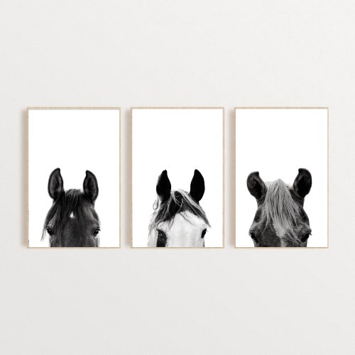 Horses Printable Black and White Horse Wall Art Animal Etsy