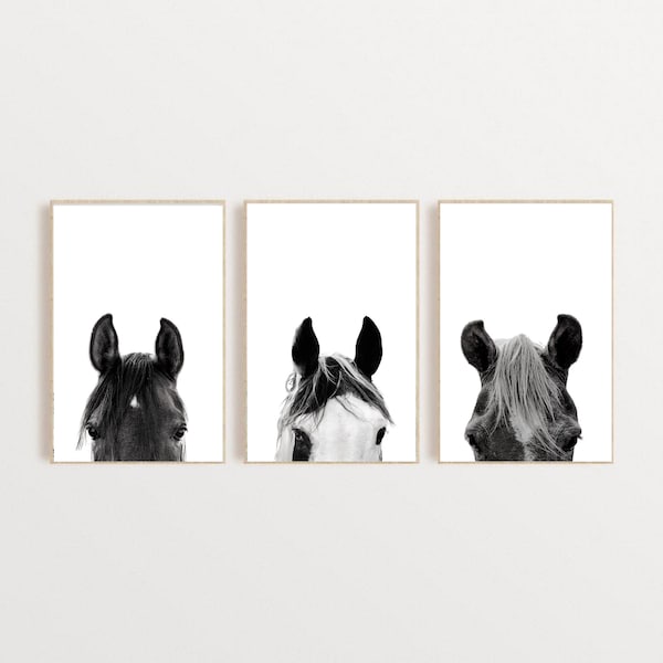 Black and White Horse Prints Etsy Australia