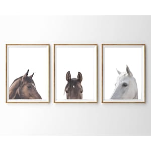 Set of 3 Horses Prints, Horses Portraits Wall Art Set,  Farm Animal Prints Set, Set of 3 Wall Art, Farmhouse Wall Decor, Digital Download