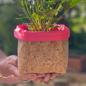 May include: A pink and brown planter with a green plant with pink flowers. The planter is made of cork and has a pink rubber rim.