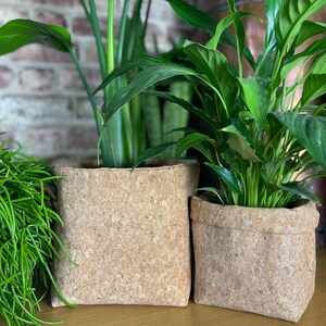 May include: Two potted plants in cork planters. The plants have green leaves and are sitting on a wooden surface.