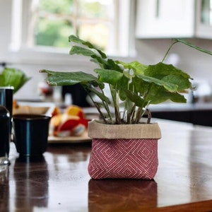 May include: A green leafy plant in a pink and white patterned fabric planter pot. The pot is made of burlap and has a natural jute fabric lining.