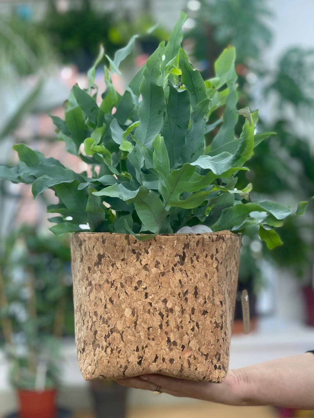 Indoor Planter, Fabric Plant Pot, Indoor Plant Pot UK, Fabric Planter, Vegan Plant Holder