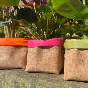 May include: Three cork planters with different coloured fabric trim. The planters are filled with green plants and are sitting on a grey surface.