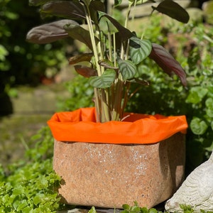 May include: A houseplant with dark green leaves in a cork planter with an orange fabric liner.