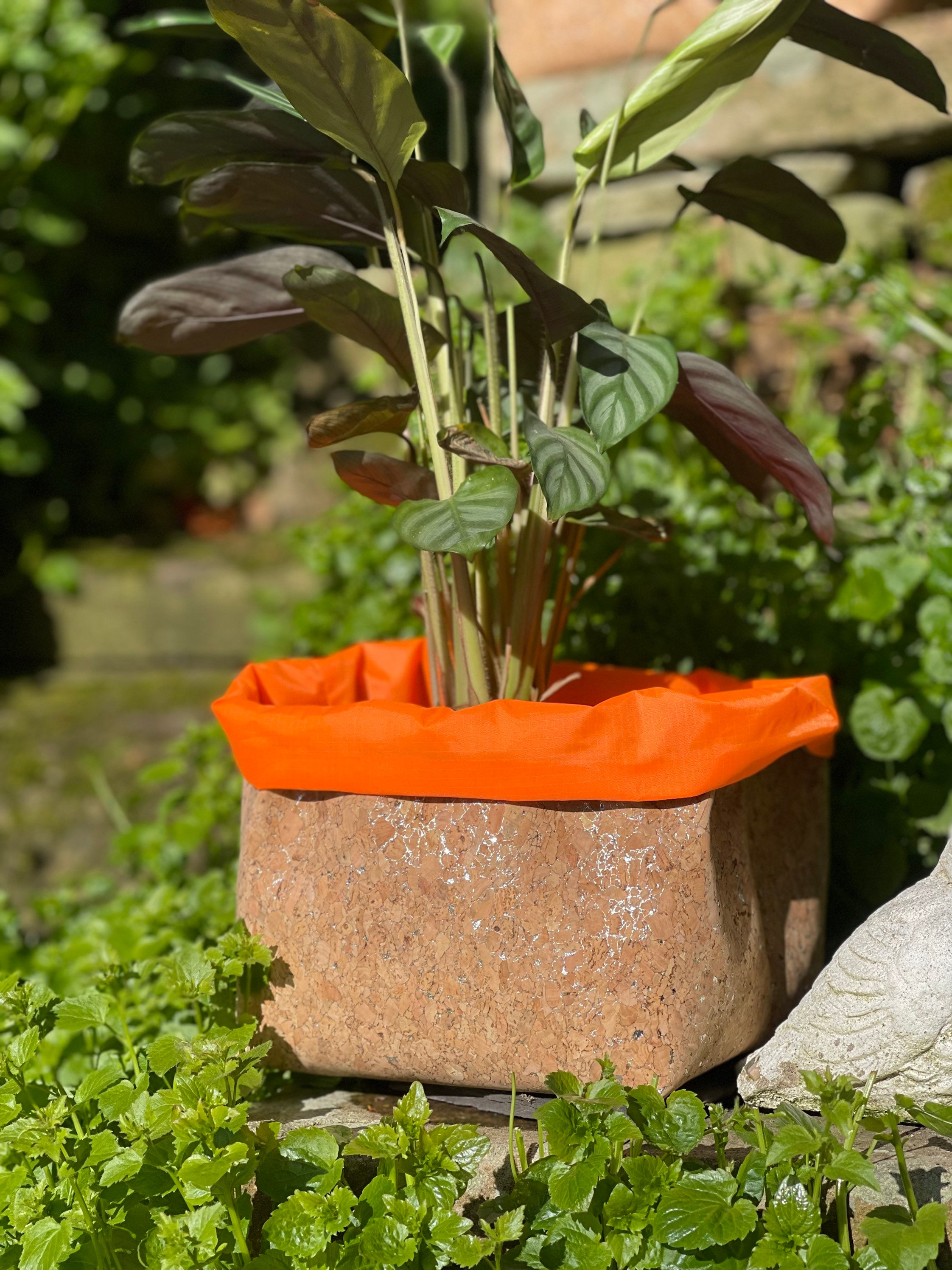 hanging geranium plants Hanging Basket with Geranium Calliope and Dichondra  Jardineries Botanix