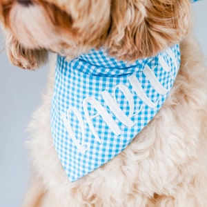 turquoise gingham dog bandana with embroidered dog name