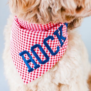 red gingham dog bandana with blue embroidery