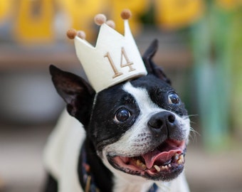 Embroidered Birthday Crown for Dogs First Birthday Crown Custom Dog Birthday Hats Dog Birthday Keepsake Dog Party Hat Pup Birthday Party