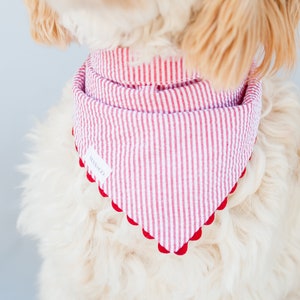 Red Seersucker Bandana with Snaps Bandana for Dog Custom Bandana Personalized with Name Embroidered Red Stripes Bandana Gift for Dog Mom