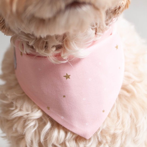 Birthday Bandana in Pink with Tiny Stars Bandana Snap Bandana for Dog Custom Bandana Personalized with Name Embroidered Bandana