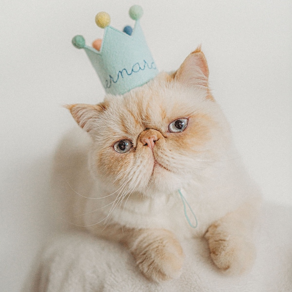 MINI Seamist Birthday Crown for Cats First Birthday Crown Embroidered Cat Birthday Hats Cat Birthday Keepsake Cat Party Hat Kitten Birthday