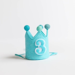 Aqua Crown Birthday Crown with Pompoms Mini Dog Birthday Hat Dog Hat Dog Birthday Crown Puppy Birthday Dog Party Hat Dog Number Crown