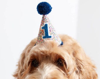 Dog Birthday Party Hat, MINI Birthday Hat, Puppy Birthday Hat, Dog Birthday Party Hat, Multi Color Sprinkle + Navy Pompom