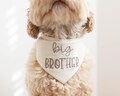 Big Brother Dog Bandana with Snaps Bandana for Dog Pregnancy Announcement New Dog Sibling Dog Mom Gift | CHOOSE FABRIC COLOR