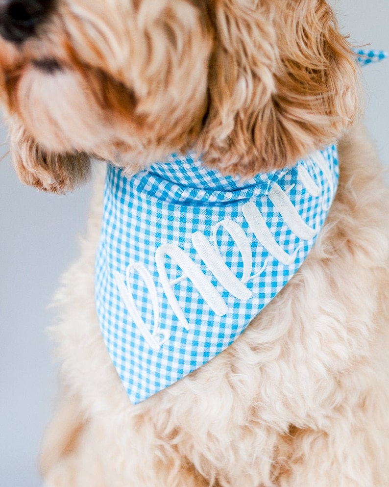 turquoise gingham dog bandana with embroidered dog name