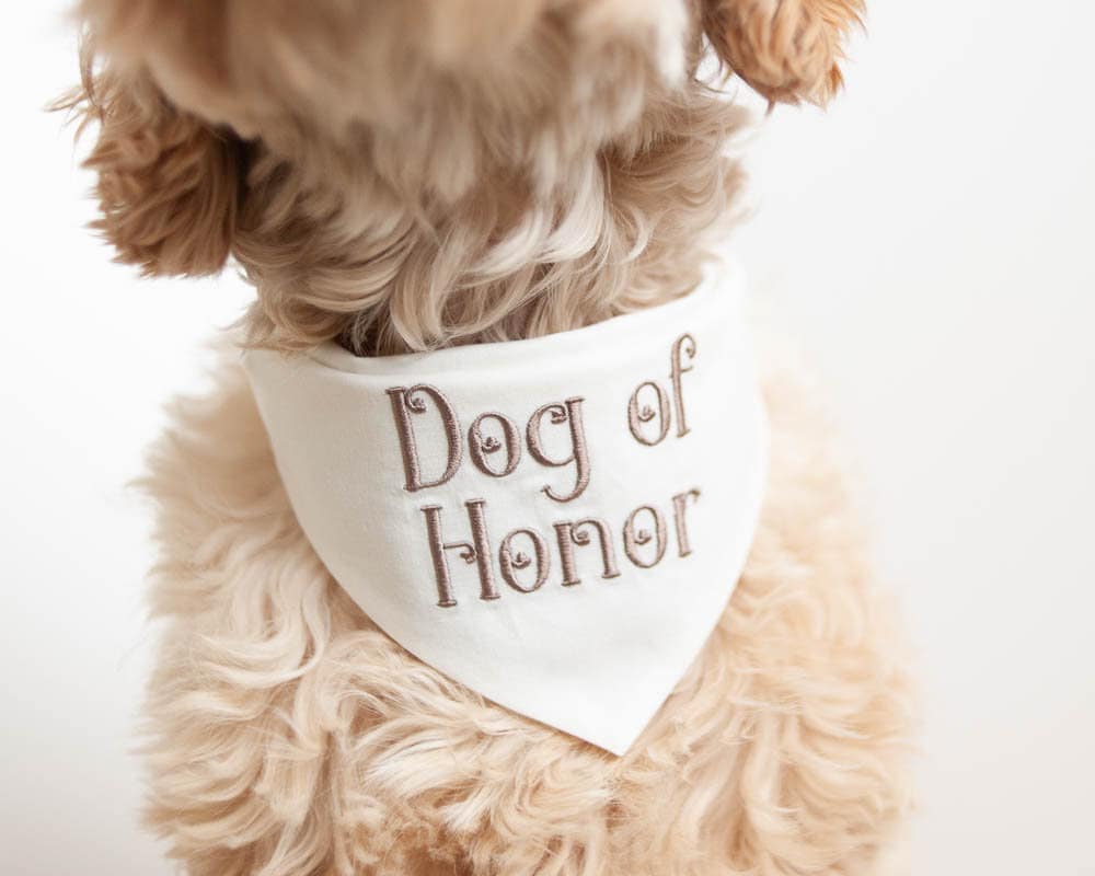 Dog of Honor Bandana Snap-on Bandana for Dog Engagement Bandana Engagement Announcement Dog Bandana Wedding Dog Bandana Wedding Dog | IVORY